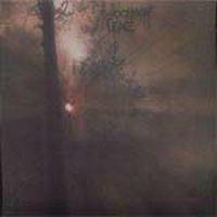 Woodland's Edge : Deep End of the Abyss